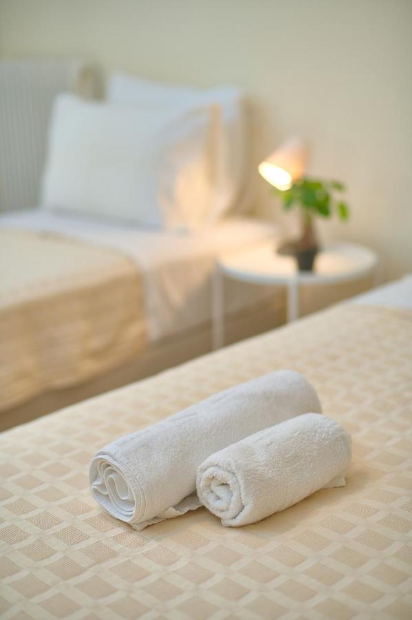 Venias Two-Bedroom Apartment Kallimarmaro And Zappeio Area Athens Ngoại thất bức ảnh